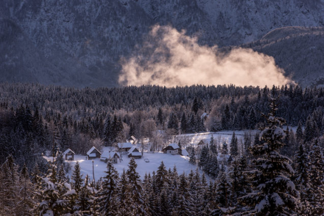 Shepherds huts blanketed with snow at Pokljuka Plateau in winter