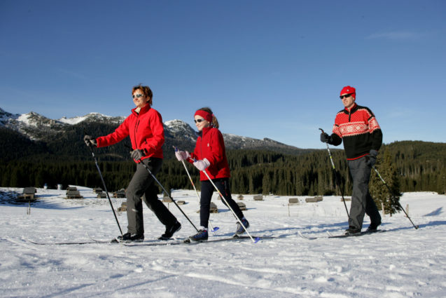 Young family Cross Country Skiing at Pokljuka Plateau in winter