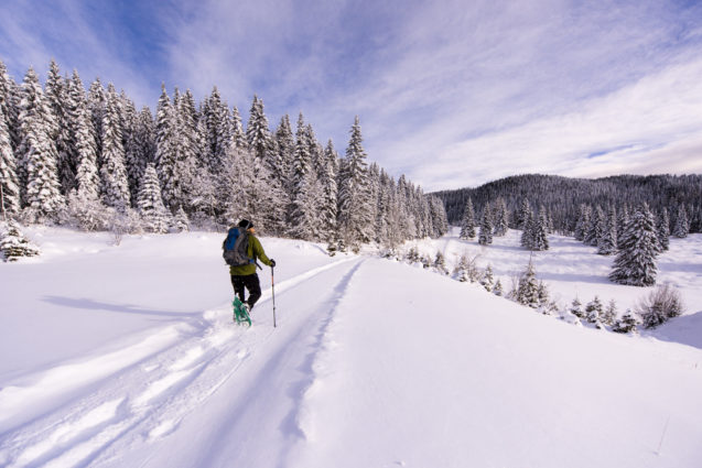 A hiker at Pokljuka Plateau blanketed with snow in winter