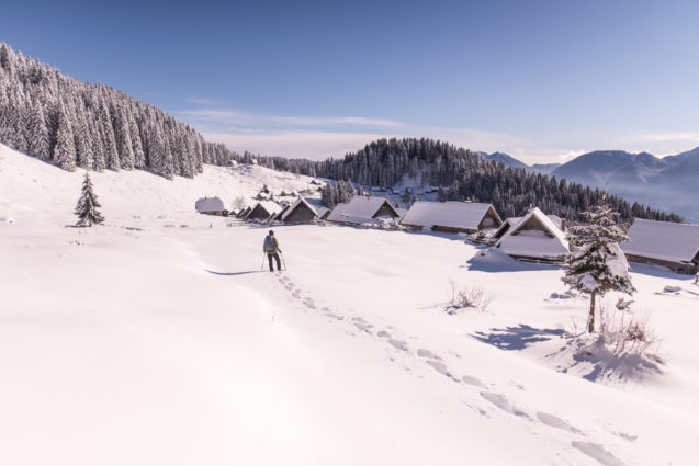 A hiker at Pokljuka Plateau in winter with shepherds huts in the background