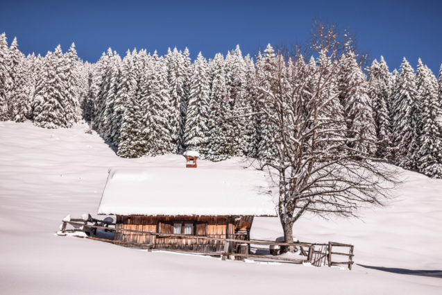 A cottage covered with snow at Pokljuka Plateau in winter