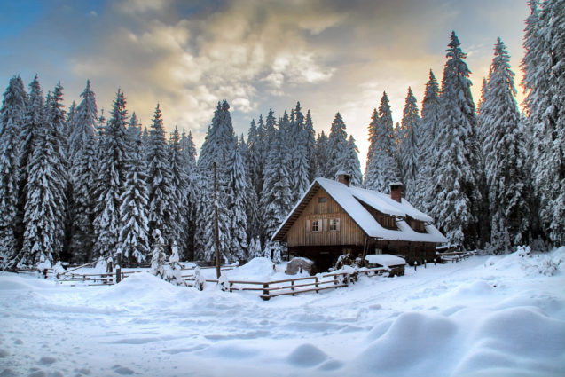 A cottage blanketed with snow at Pokljuka Plateau in winter