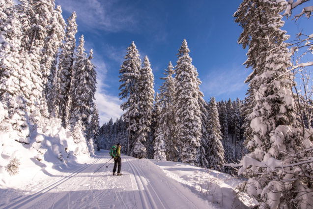A road covered with snow at Pokljuka Plateau in winter
