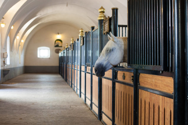 Interior of the Velbanca stable at Lipica Stud Farm in Slovenia