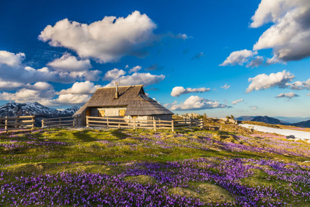 A shingle-roofed, semicircular wooden hut at Velika Planina in spring