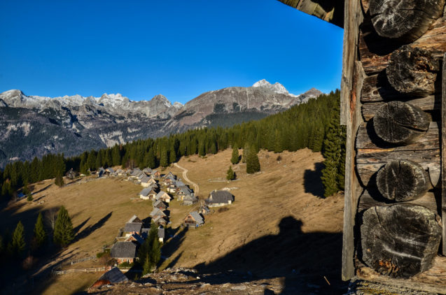 Zajamniki mountain pasture with shepherds' huts at Pokljuka Plateau and Slovenian Alps in the background