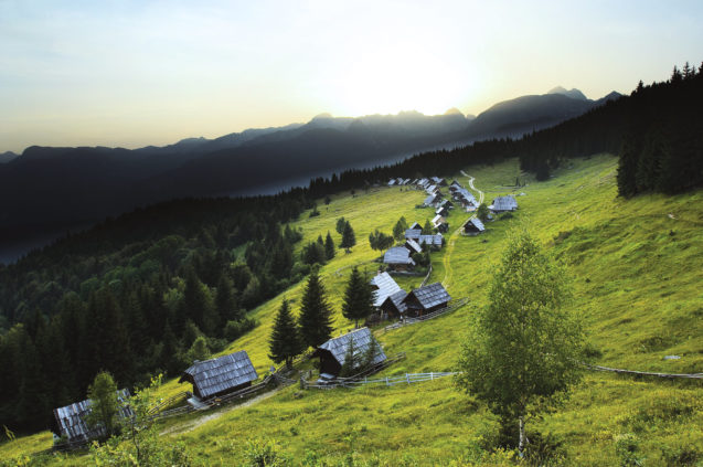 Zajamniki mountain pasture with a group of about 80 shepherds' huts located at the western edge of the Pokljuka Plateau