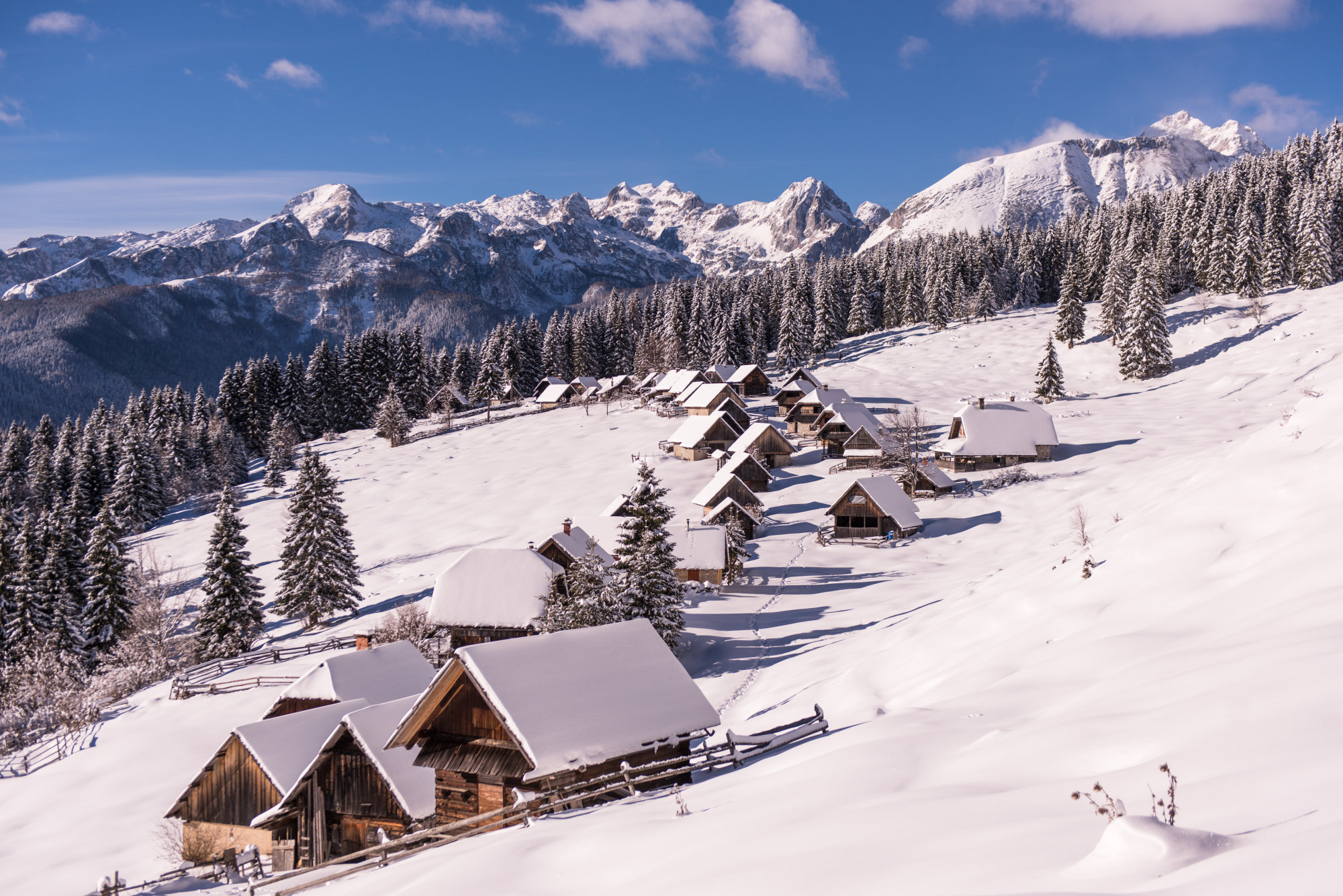 Visit And Explore The Pokljuka Plateau In Slovenia