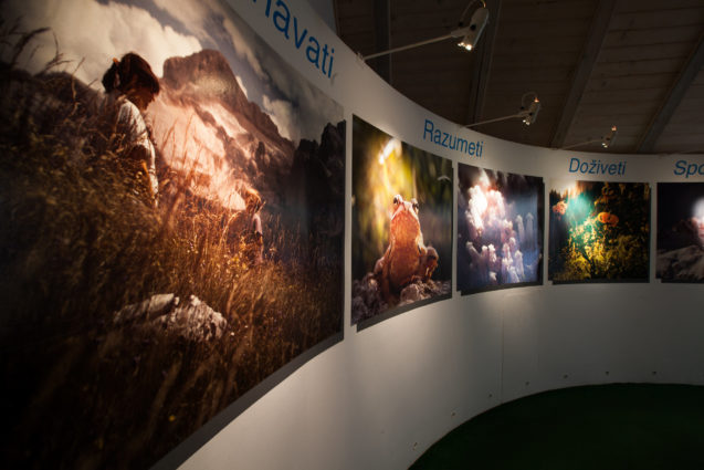 Inside Triglav National Park information centre at Log in Trenta Valley