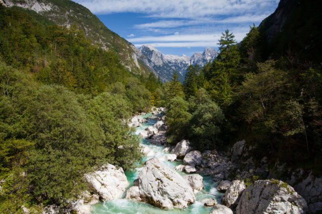 Soca River flowing through Trenta Valley in Slovenia