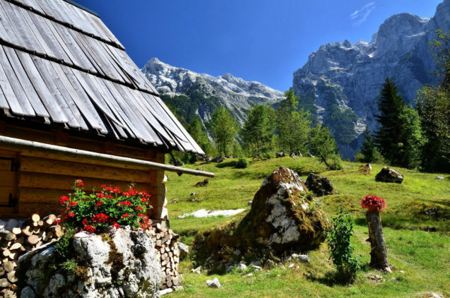 A traditional shingle roofed house with flowers in Trenta Valley, Slovenia