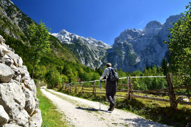 A hiker on the dirt road in Trenta Valley, Slovenia