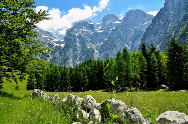 A meadow in Trenta Valley with mountains of Slovenian Alps in the background