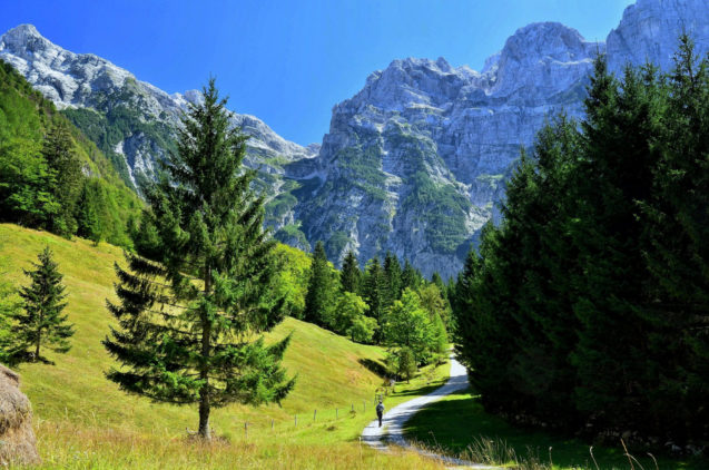 A dirt road through Trenta Valley in Slovenia