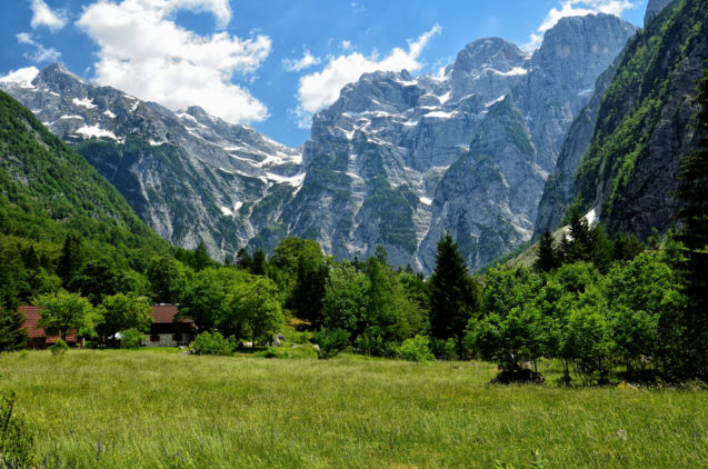 A meadow in Trenta Valley and mountains in the background