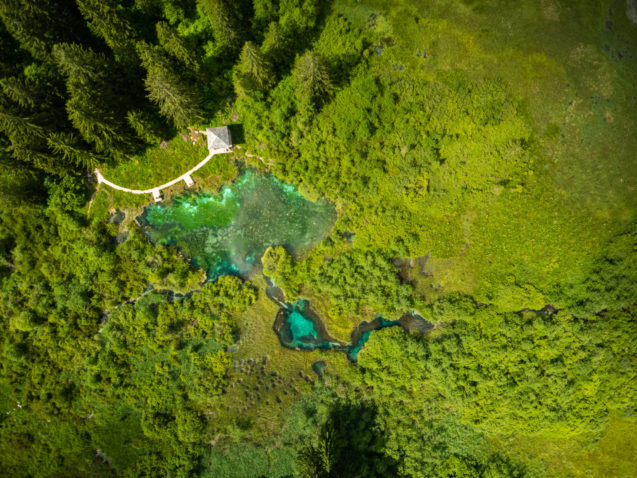 Aerial view of Zelenci Nature Reserve in Kranjska Gora in summer