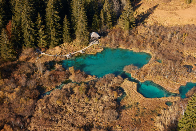Aerial view of Zelenci Nature Reserve in Kranjska Gora in late autumn