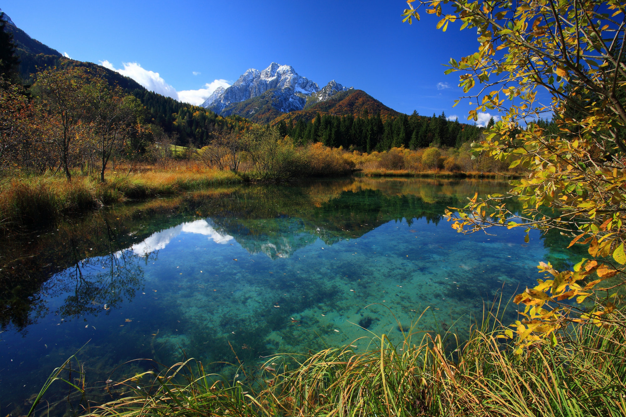 Visit And Explore The Zelenci Nature Reserve In Kranjska Gora, Slovenia