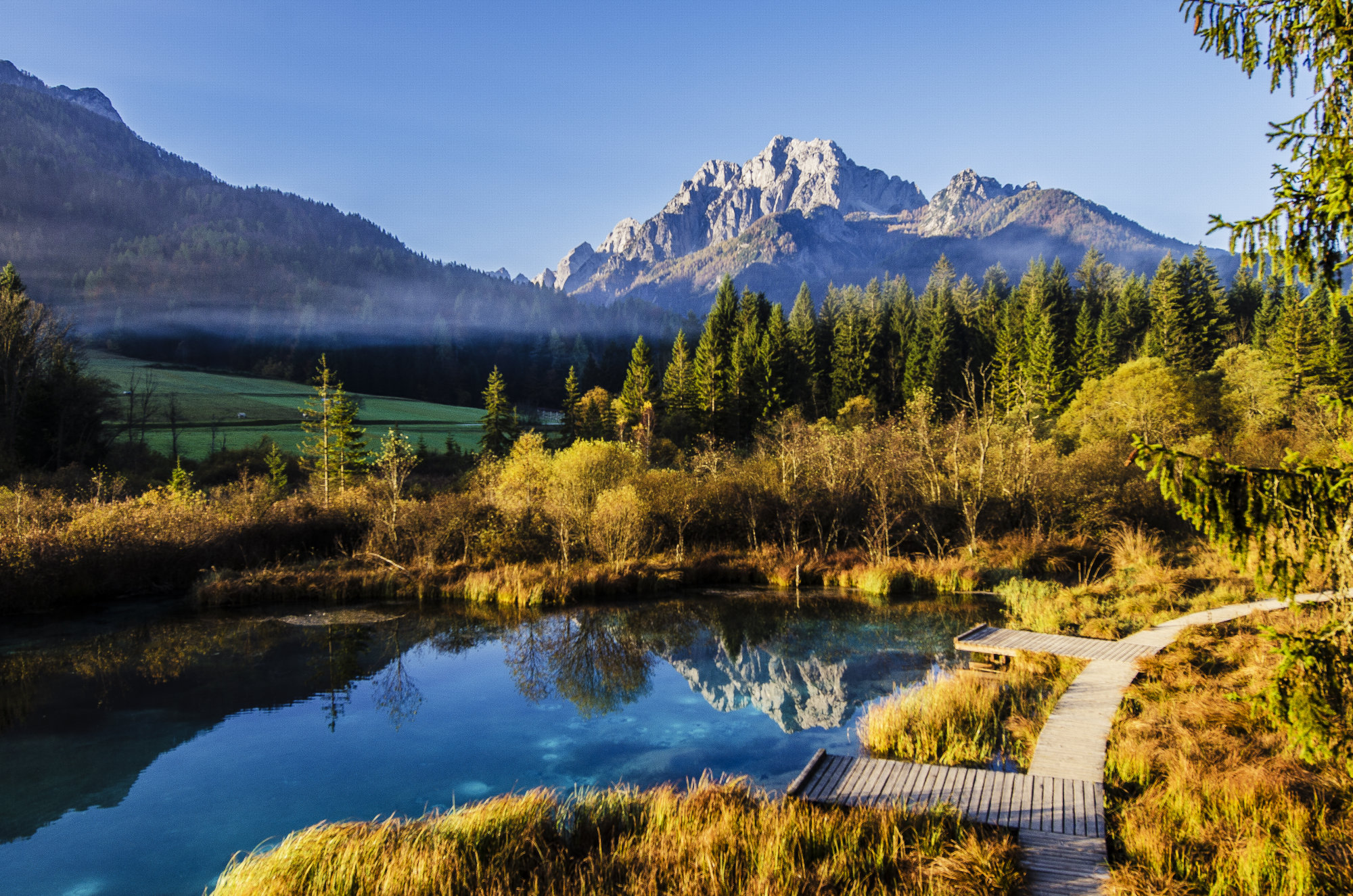 Visit And Explore The Zelenci Nature Reserve In Kranjska Gora, Slovenia