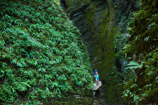 A path leading to Kozjak Waterfall near Kobarid, Slovenia