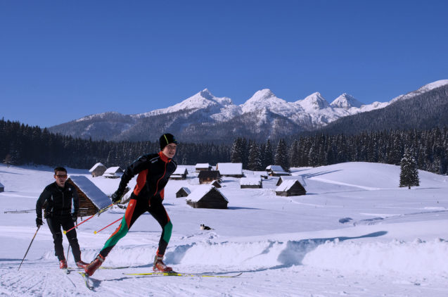 Winter sports enthusiasts doing cross country Skiing at Pokljuka Plateau in winter