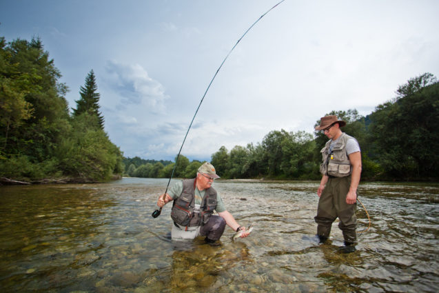 A couple of fishermen flyfishing and catching a fish in the middle of River Sava in Slovenia