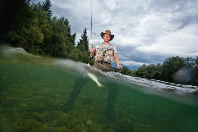 A fisherman flyfishing and catching a fish in River Sava in Slovenia