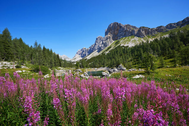 Triglav Lakes Valley in Triglav National Park in Slovenia