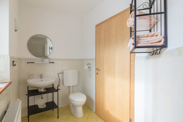 Bathroom with shower, washbasin and mirror cabinet in Cosy Apartment With Terrace at Apartments Valant Bled in Slovenia