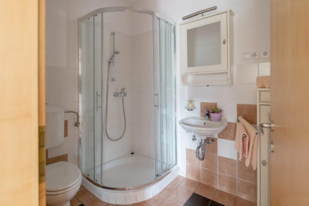 Bathroom with a glass shower stall, washbasin and mirror cabinet at Apartments Valant Bled in Slovenia