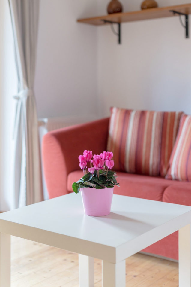 Flower and sofa in the living room of Duplex Apartment with Balcony at Apartments Valant Bled in Slovenia