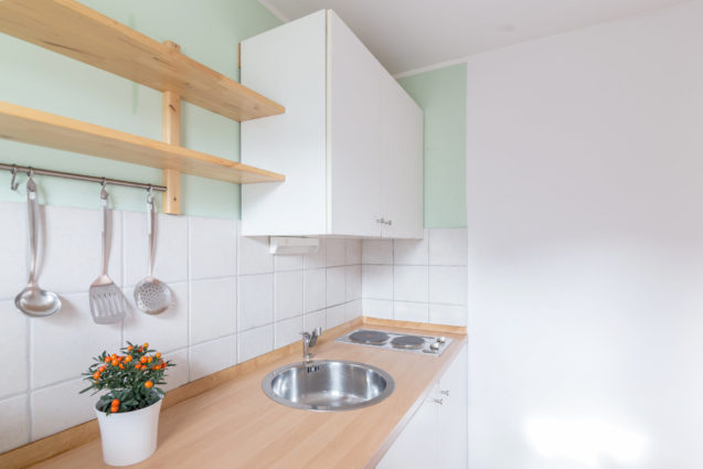 Fully stocked kitchen in Cosy Apartment With Terrace at Apartments Valant Bled in Slovenia