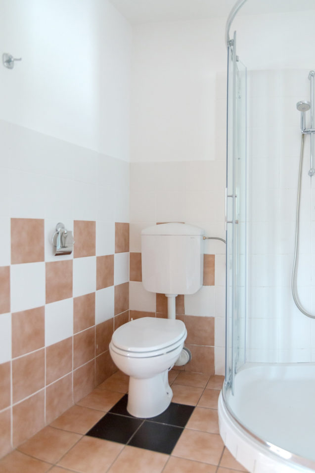 Toilet in the bathroom of Duplex Apartment with Balcony at Apartments Valant Bled in Slovenia