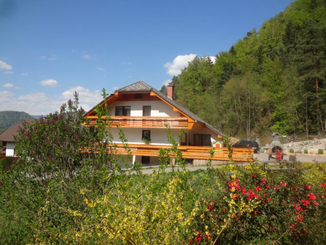 Apartments Fine Stay in Slovenia in Spring when the nature starts starts its new life