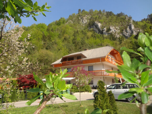 Apartments Fine Stay in Slovenia in Spring when the nature wakes up and the foliage is brightly green