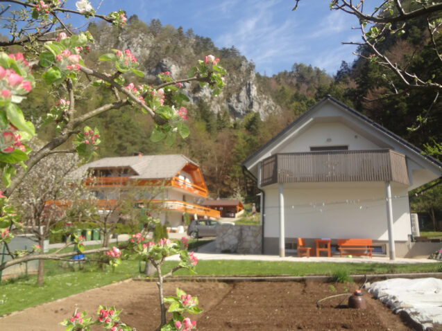 Exterior of Apartments Fine Stay in Spring when the nature around is blossoming