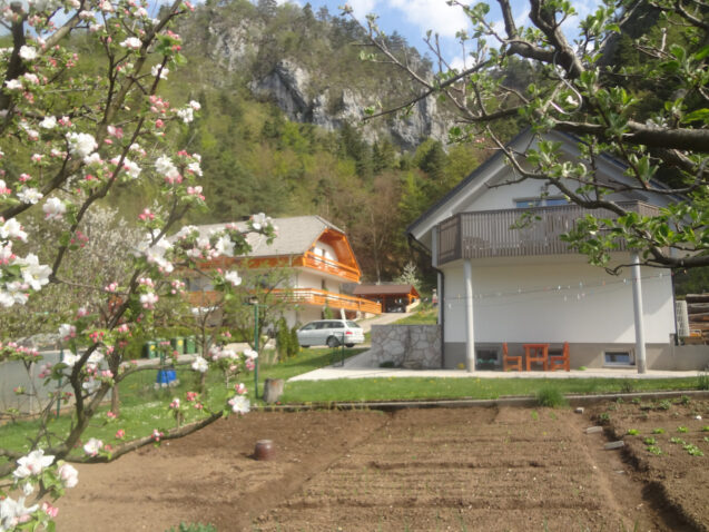 Exterior of Apartments Fine Stay in Spring when the nature starts starts its new life