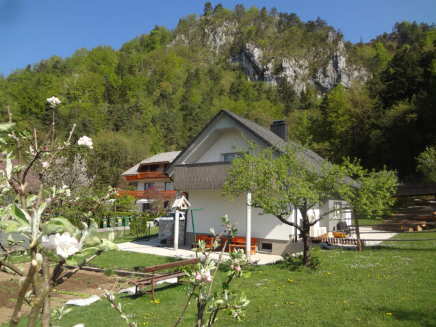 Exterior of Apartments Fine Stay in Spring when the nature wakes up, the trees flower and the fields get green