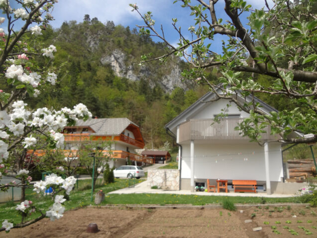 Exterior of Apartments Fine Stay in Spring when the nature shines of bright green