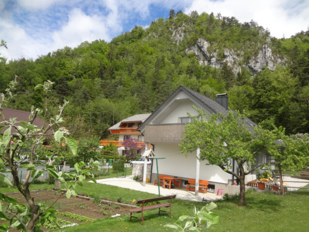 Exterior of Apartments Fine Stay in Spring when the nature wakes up and the foliage is brightly green