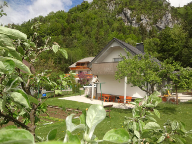 Exterior of Apartments Fine Stay in Spring when the nature starts living