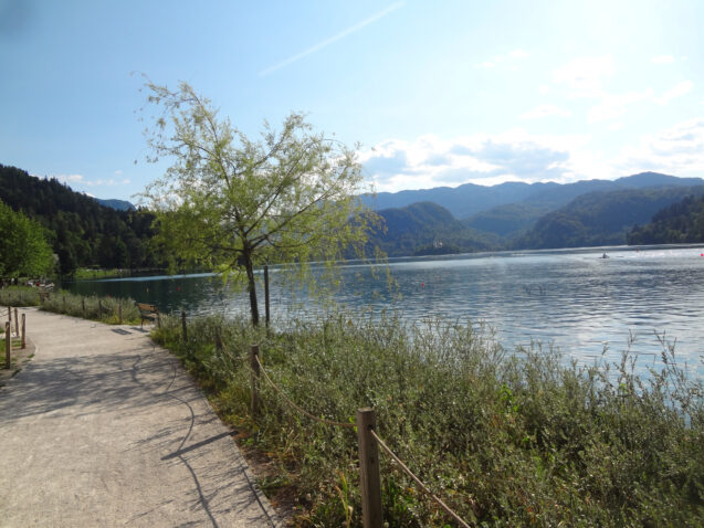 A walking trail around Lake Bled in Slovenia in summer