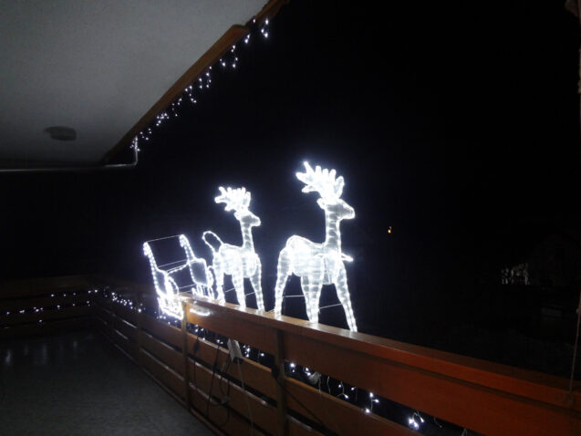 Reindeers and Santa's Sleigh at Apartments Fine Stay in the Christmas time