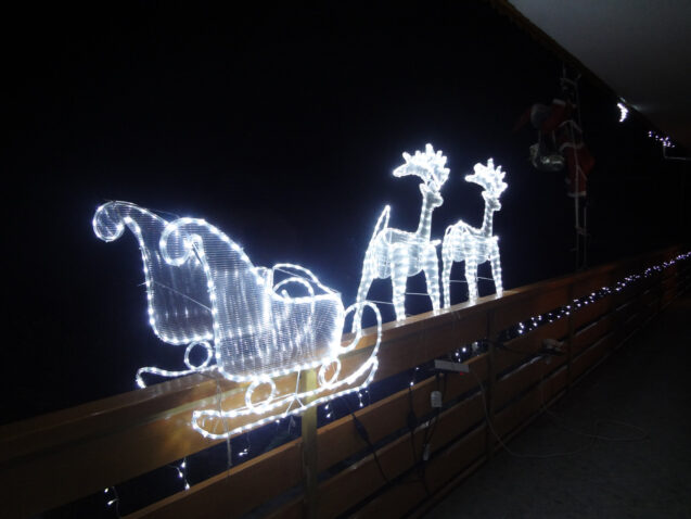 Reindeers and Sleigh at Apartments Fine Stay in the Christmas time