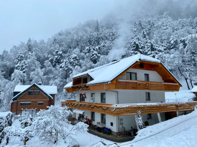 Exterior of the larger house of accommodation Apartments Fine Stay covered in snow in winter