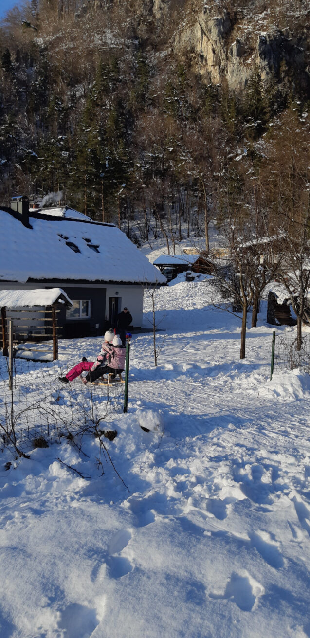 Children sledding on hillside behind accommodation Fine Stay Apartments in the Bled area of Slovenia