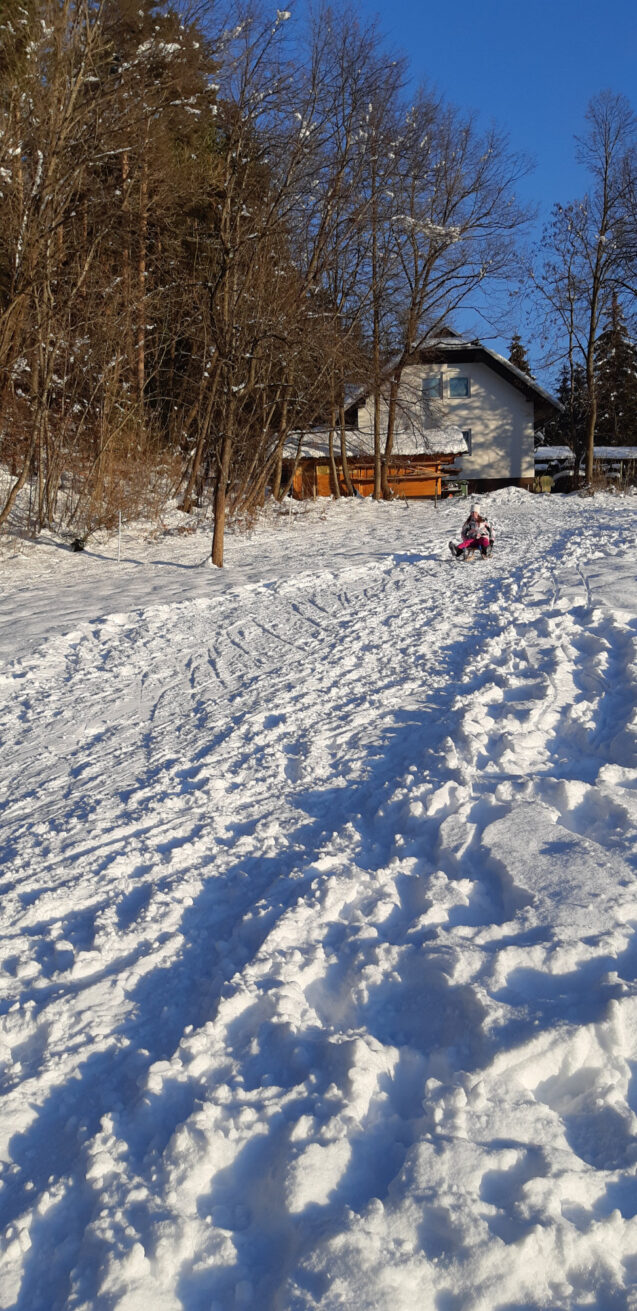 Children sledding on hillside behind accommodation Fine Stay Apartments in the Bled area of Slovenia