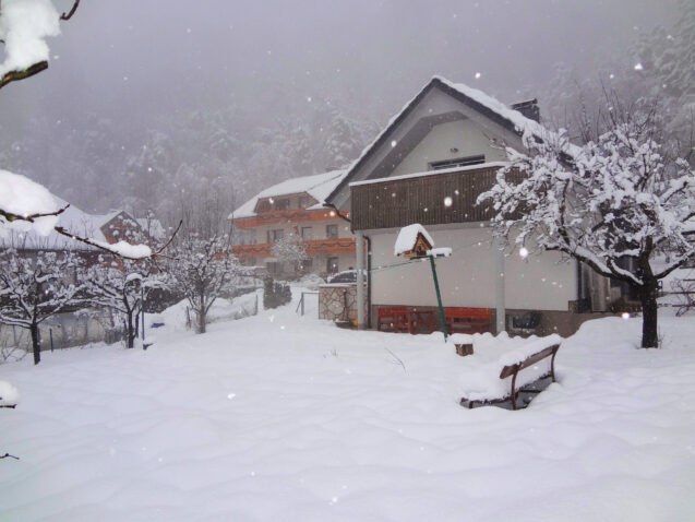 Exterior of accommodation Apartments Fine Stay in the Bled area of Slovenia during a snowfall