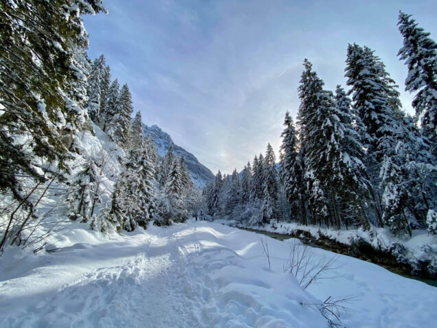 Pisnica Stream flowing through Krnica Valley covered in snow in winter