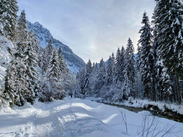 Pisnica Stream in Krnica Valley in winter